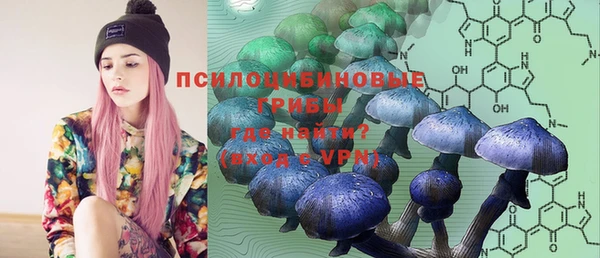 не бодяженный Нязепетровск
