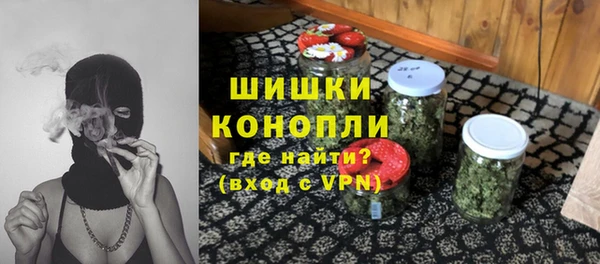 прущая мука Няндома
