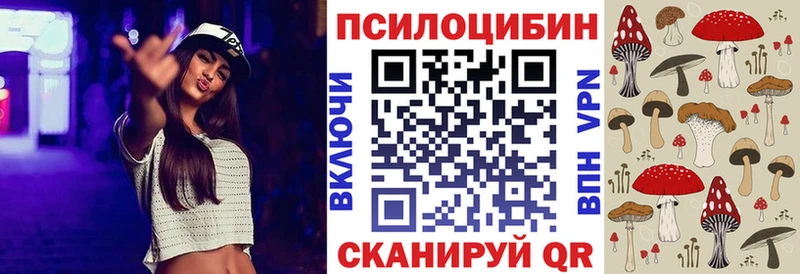 закладки  Нижняя Салда  Псилоцибиновые грибы Cubensis 